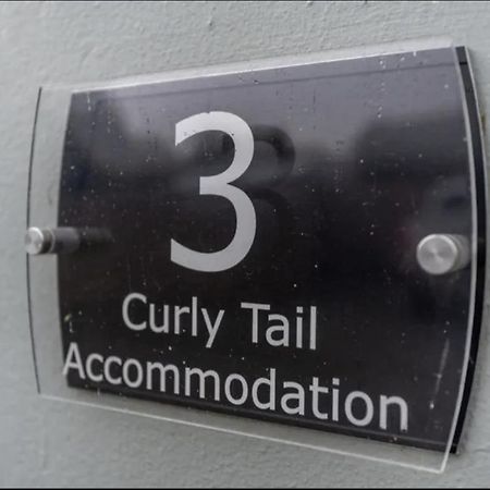 Curly Tail Accommodation Bishop's Castle Ngoại thất bức ảnh